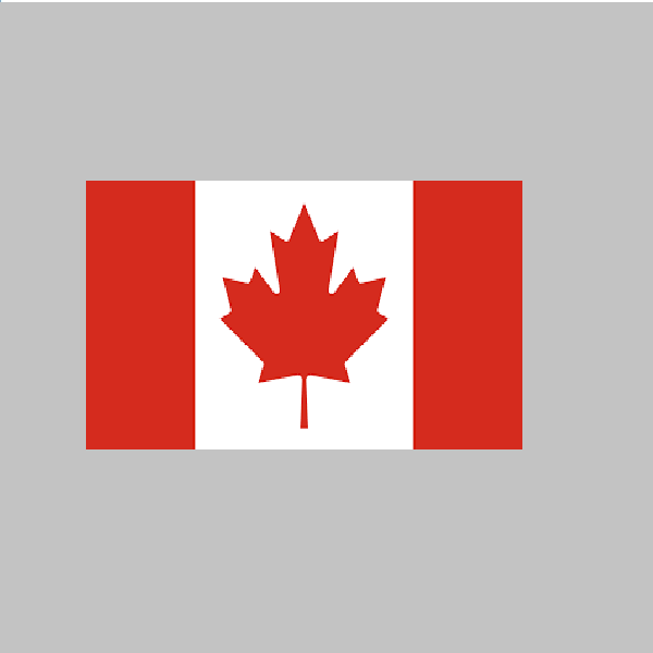 African Nation's Flag