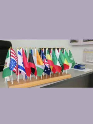 24-Flag Table Stand