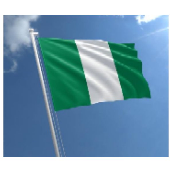 African Nation's Flag